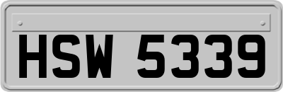 HSW5339