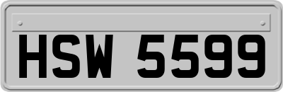HSW5599