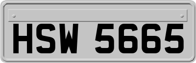 HSW5665