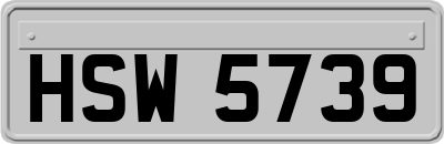 HSW5739