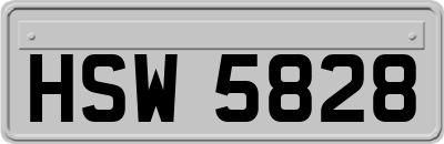 HSW5828