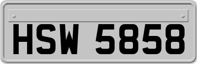 HSW5858