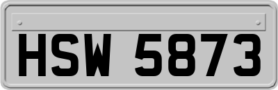 HSW5873