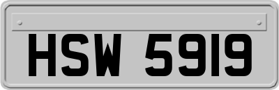 HSW5919
