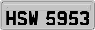 HSW5953
