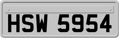 HSW5954
