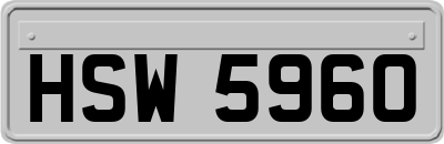 HSW5960