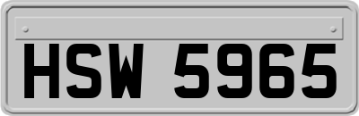 HSW5965