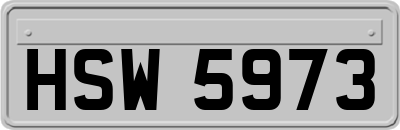 HSW5973