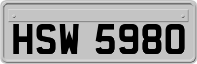 HSW5980