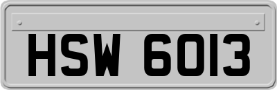 HSW6013