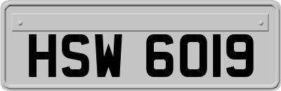 HSW6019