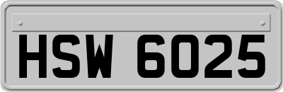 HSW6025