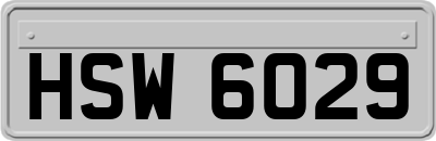 HSW6029