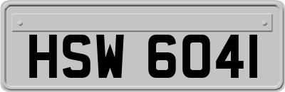 HSW6041