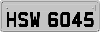 HSW6045