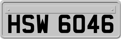 HSW6046