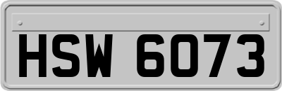 HSW6073