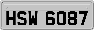 HSW6087