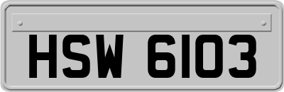 HSW6103