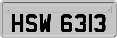 HSW6313