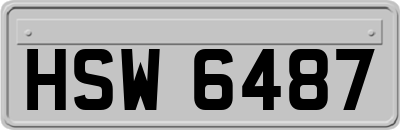 HSW6487