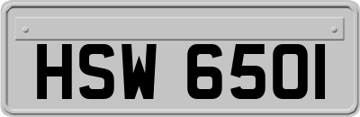 HSW6501