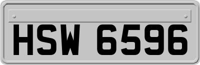 HSW6596