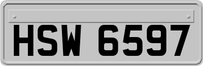 HSW6597