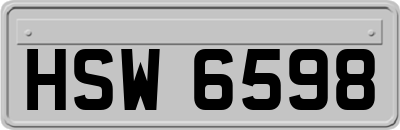 HSW6598