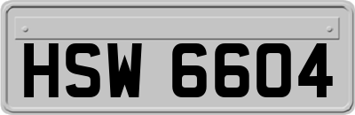 HSW6604