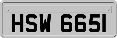 HSW6651