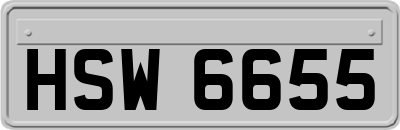 HSW6655
