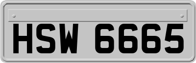 HSW6665