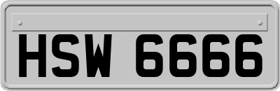 HSW6666