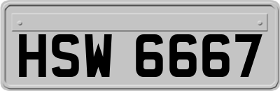 HSW6667