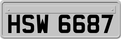 HSW6687