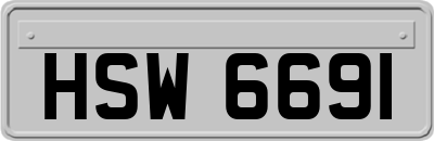 HSW6691