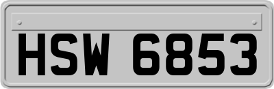HSW6853