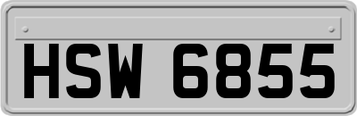 HSW6855