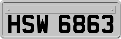 HSW6863
