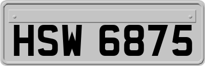 HSW6875