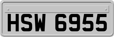 HSW6955