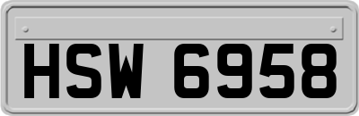 HSW6958