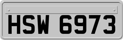 HSW6973