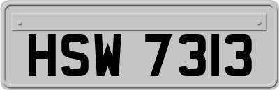 HSW7313