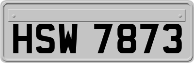 HSW7873