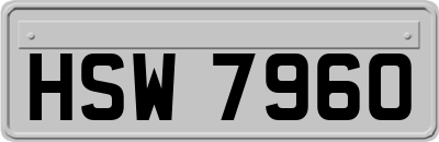 HSW7960