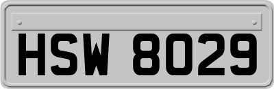 HSW8029