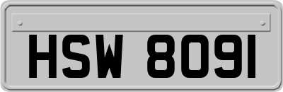 HSW8091